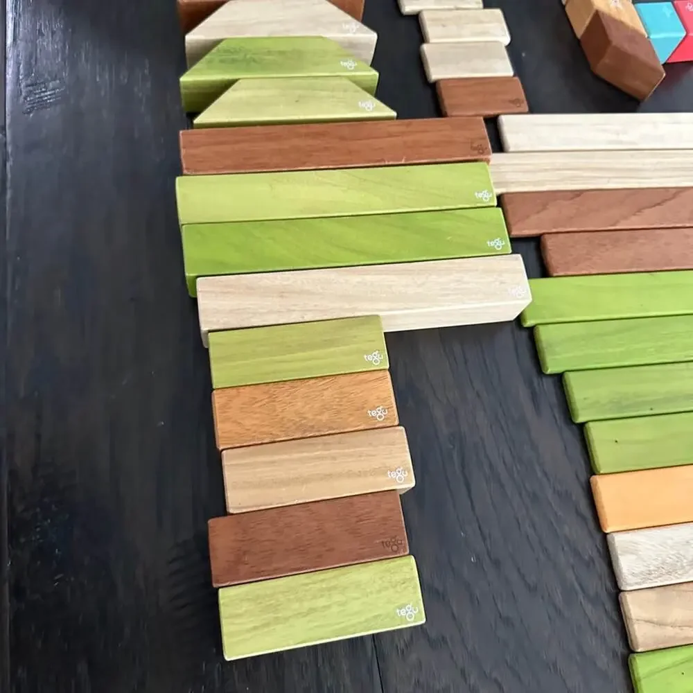 52 Piece Set Magnetic Wooden Blocks Tegu Classics